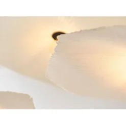 Fabrique de Styles Suspensions><noscript><img width=