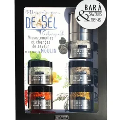 Fabrique de Styles Condiments Et Épices>Bar à sels avec moulin intégré