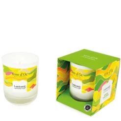 Fabrique de Styles Bougies Parfumées>Bougie parfumée Mandarine Yuzu - Laotong Multicolore