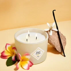Fabrique de Styles Bougies Parfumées>Bougie parfumée Monoï des îles 70h