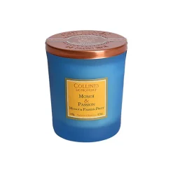 Fabrique de Styles Bougies Parfumées>Bougie parfumée Monoï Passion 40h Bleu