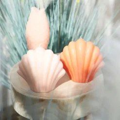 Fabrique de Styles Bougies Parfumées>Bougie Saint-Jacques 10h - Bord De Mer Corail