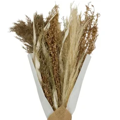 Fabrique de Styles Fleurs Séchées>Bouquet fleurs séchées limonium h50cm plantes séchées Brun