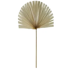 Fabrique de Styles Fleurs Séchées>Branchage palmier 50xh96cm feuille de palmier Naturel