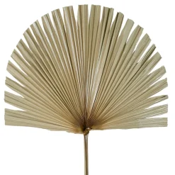 Fabrique de Styles Fleurs Séchées>Branchage palmier 50xh96cm feuille de palmier Naturel