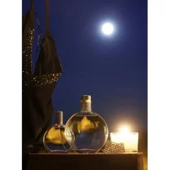 Fabrique de Styles Bouquets Parfumés>Bâtons à parfum coquelicot, pivoine, musc 500ml - Lune Argenté