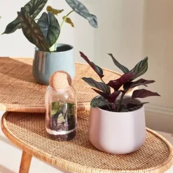 Fabrique de Styles Cache-pots Et Supports><noscript><img width=