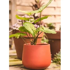 Fabrique de Styles Cache-pots Et Supports>Cache pot en céramique terracotta d13.5cm Cayenne