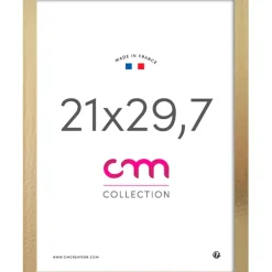 Fabrique de Styles Cadres Photos>Cadre photo 21x29.7cm croisett mdf verre mdf Champagne