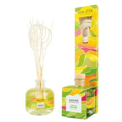 Fabrique de Styles Bouquets Parfumés>Capilla mandarine-yuzu laotong 200ml Multicolore