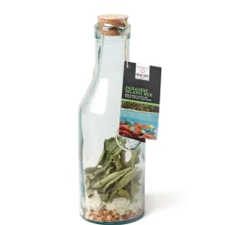 Fabrique de Styles Préparations Cocktails>Carafe paradise island mix