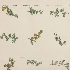 Fabrique de Styles Chemins De Table>Chemin de table en coton naturel et vert 160x50cm - Juline Naturel, Vert