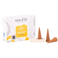 Fabrique de Styles Encens>Coffret 10 cônes d'encens citronnelle avec porte encens Multicolore