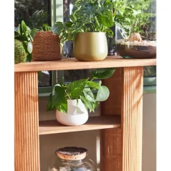 Fabrique de Styles Consoles><noscript><img width=