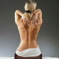 Fabrique de Styles Relaxation Et Massage>Coussin de posture Gris