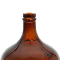 Fabrique de Styles Vases Et Soliflores>Dame-jeanne Comete H30cm Prune