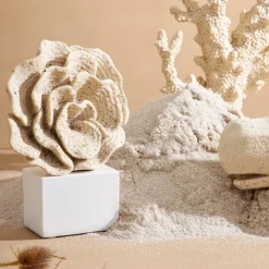 Fabrique de Styles Petits Objets Déco>Déco corail h22,5cm - Ostrea Sable