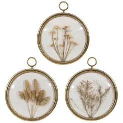 Fabrique de Styles Cadres Déco Et Affiches>Déco murale médaillon en fer (x3) fleurs séchées Doré