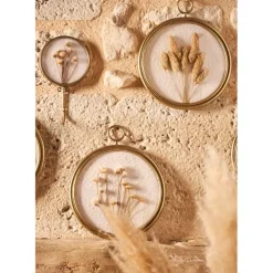 Fabrique de Styles Cadres Déco Et Affiches>Déco murale médaillon en fer (x3) fleurs séchées Doré