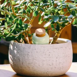 Fabrique de Styles Accessoires><noscript><img width=