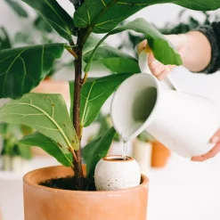 Fabrique de Styles Accessoires><noscript><img width=