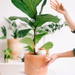 Fabrique de Styles Accessoires><noscript><img width=