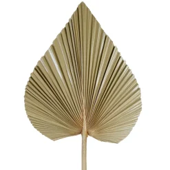 Fabrique de Styles Fleurs Séchées><noscript><img width=