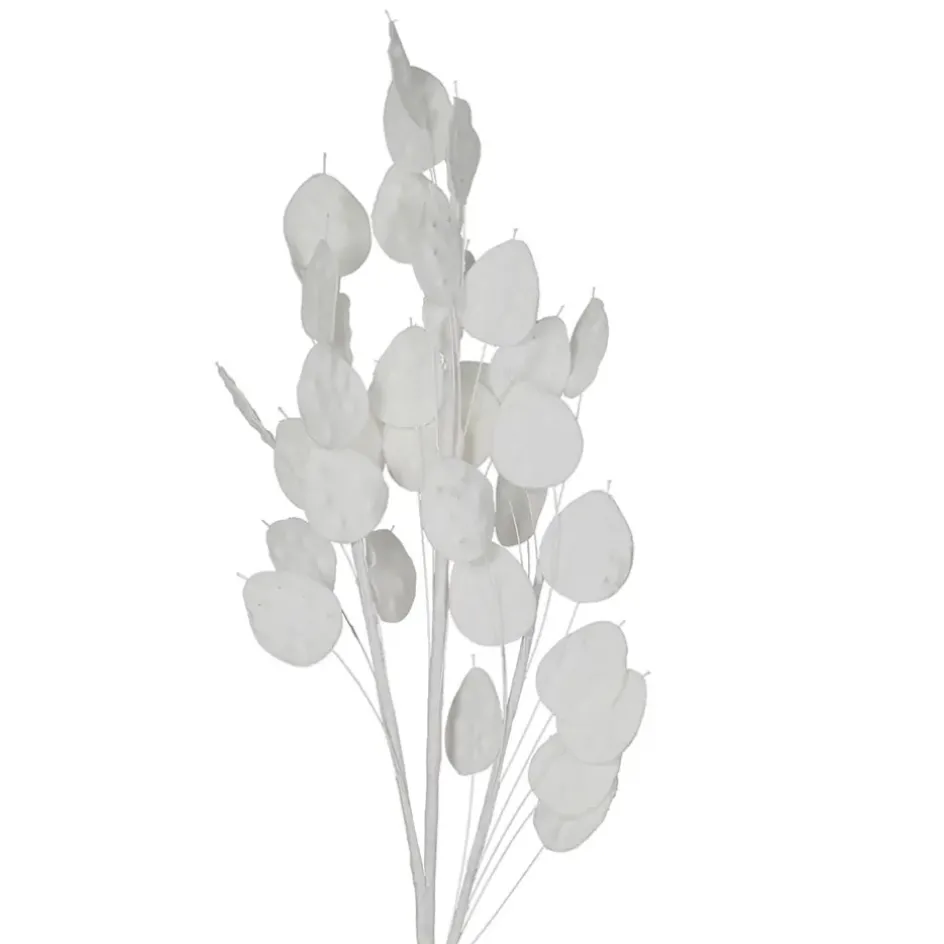 Fabrique de Styles Fleurs Et Plantes Artificielles>Fleur artificielle he h105cm - Beckia Blanc