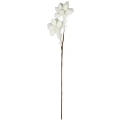 Fabrique de Styles Fleurs Et Plantes Artificielles>Fleur tupia h90cm eva+fil de fer Blanc cassé