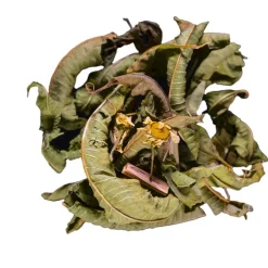 Fabrique de Styles Cafés, Thés Et Infusions>Infusion menthe fraiche menthe verveine bio - 30g Multicolore