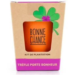 Fabrique de Styles Prêt À Pousser>Kit message bonne chance - trèfle à 4 feuilles Multicolore