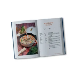 Fabrique de Styles Livres>Livre de 200 recettes pour la Fabuleuse Multicolore