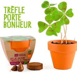 Fabrique de Styles Prêt À Pousser><noscript><img width=