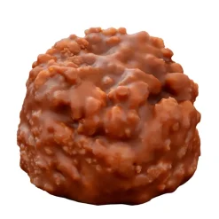 Fabrique de Styles Chocolats Et Confiseries>Petit croc' lait petit beurre 53g Marron