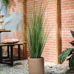 Fabrique de Styles Fleurs Et Plantes Artificielles>Plante artificielle en pot h100cm Vert