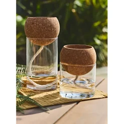 Fabrique de Styles Vases Et Soliflores>Pot auto arrosant en verre d10xh14cm Transparent