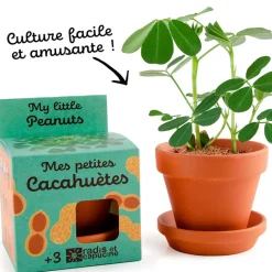 Fabrique de Styles Prêt À Pousser>Pot d8cm avec coupelle cacahuète Multicolore