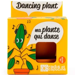 Fabrique de Styles Prêt À Pousser>Pot d8cm avec coupelle plante qui danse Multicolore