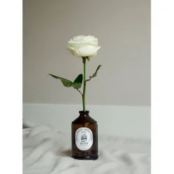 Fabrique de Styles Boissons Non Alcoolisés><noscript><img width=