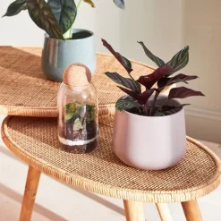 Fabrique de Styles Table Basses><noscript><img width=