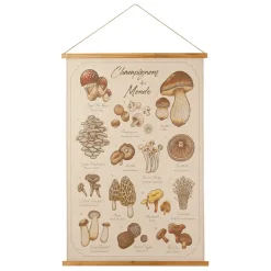 Fabrique de Styles Tableaux Et Toiles>Toile "encyclopédie champignon" 77x110cm Multicolore