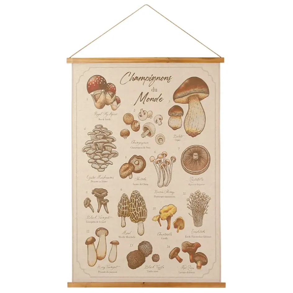 Fabrique de Styles Tableaux Et Toiles>Toile "encyclopédie champignon" 77x110cm Multicolore