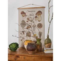 Fabrique de Styles Tableaux Et Toiles>Toile "encyclopédie champignon" 77x110cm Multicolore