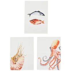 Fabrique de Styles Torchons, Tabliers Et Maniques>Torchon en coton (x3) faune marine blanc et 50x70cm Corail