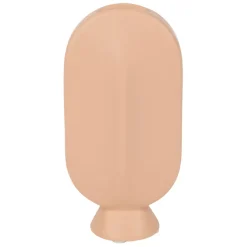 Fabrique de Styles Vases Et Soliflores>Vase face peche en grès Pêche